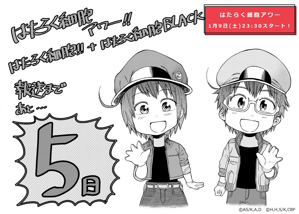 《工作細胞BLACK》官方的動畫播放倒數 5 日宣傳圖!