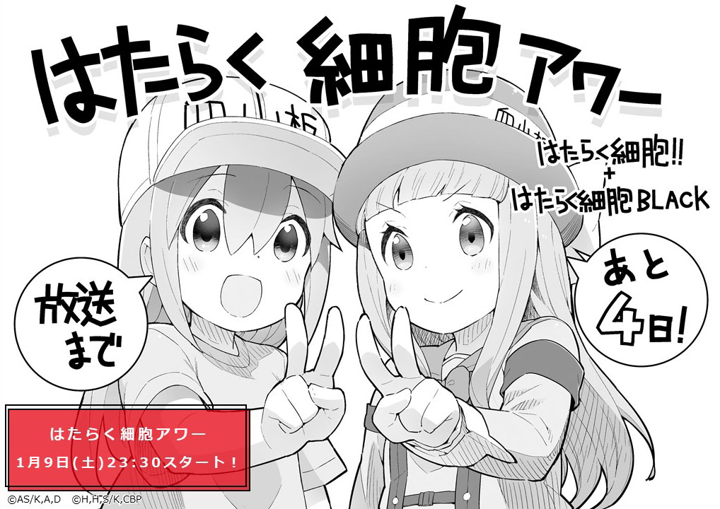 《工作細胞BLACK》官方的動畫播放倒數 4 日宣傳圖!