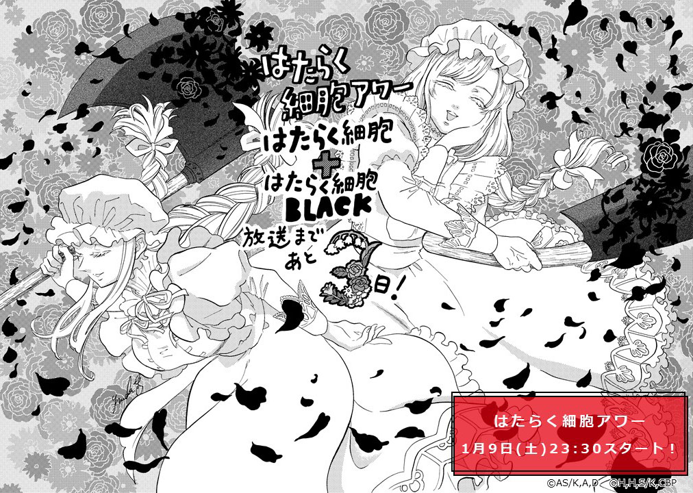 《工作細胞BLACK》官方的動畫播放倒數 3日宣傳圖!