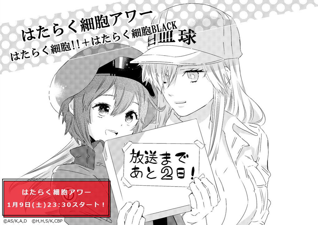 《工作細胞BLACK》官方的動畫播放倒數 2 日宣傳圖!