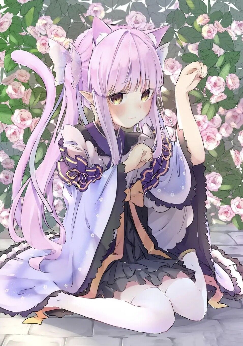 今日美图分享（15）