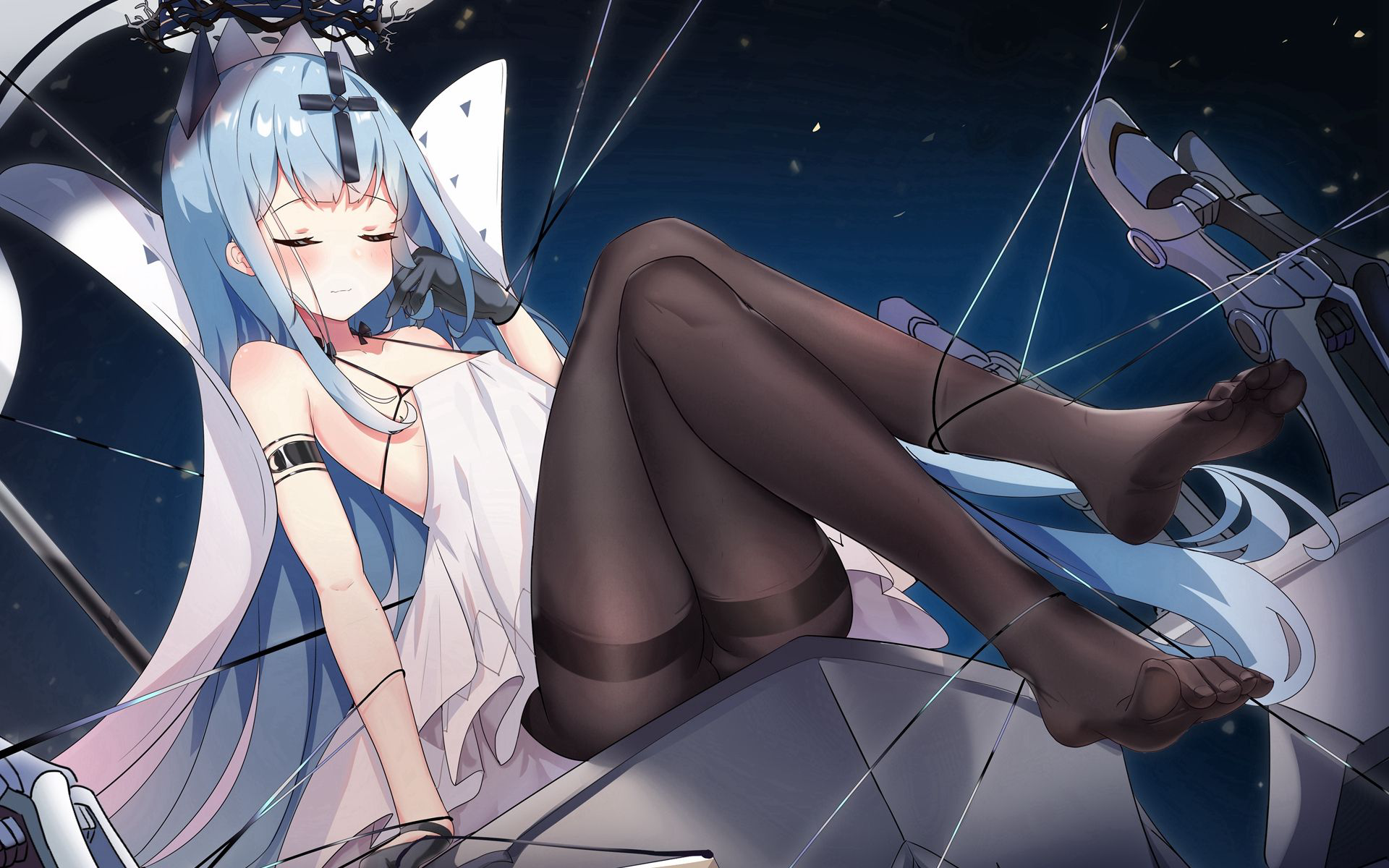 今日美图分享（14）