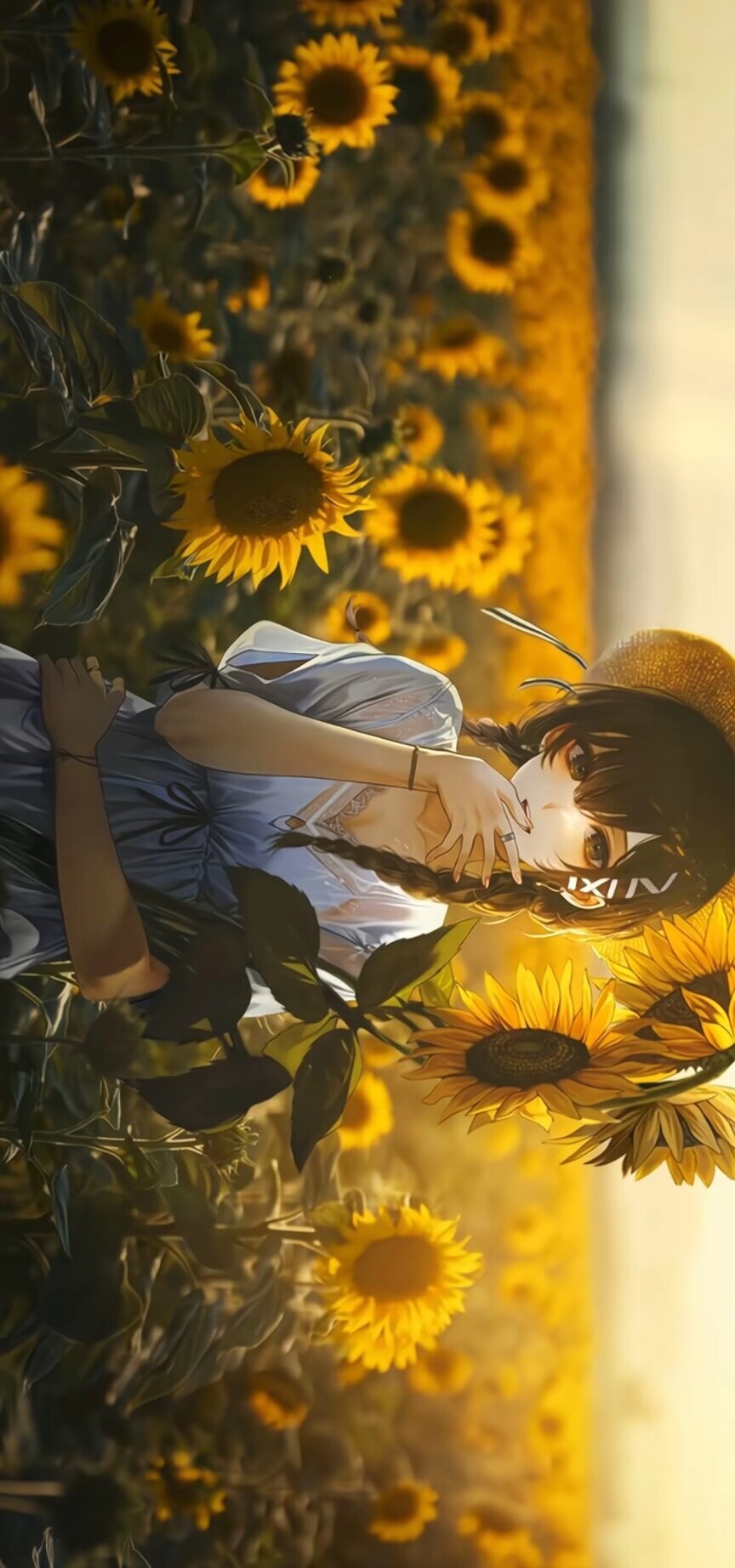 分享