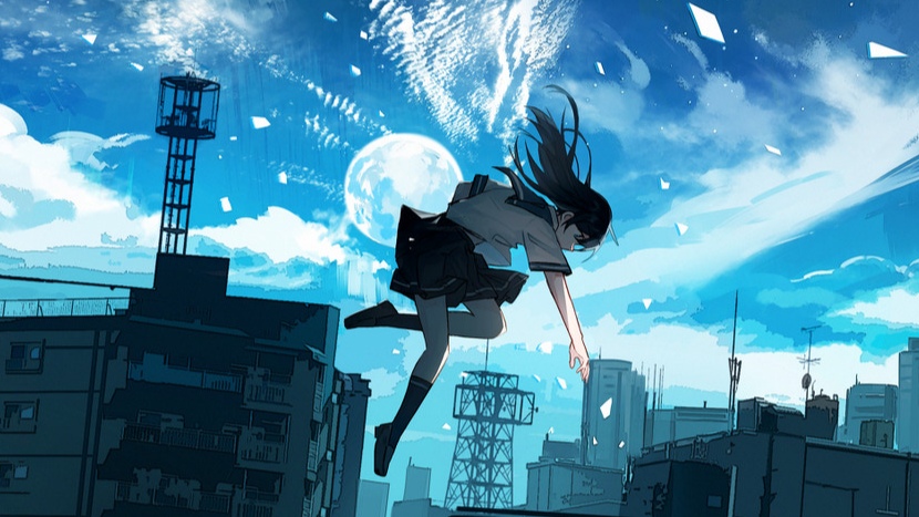 fly