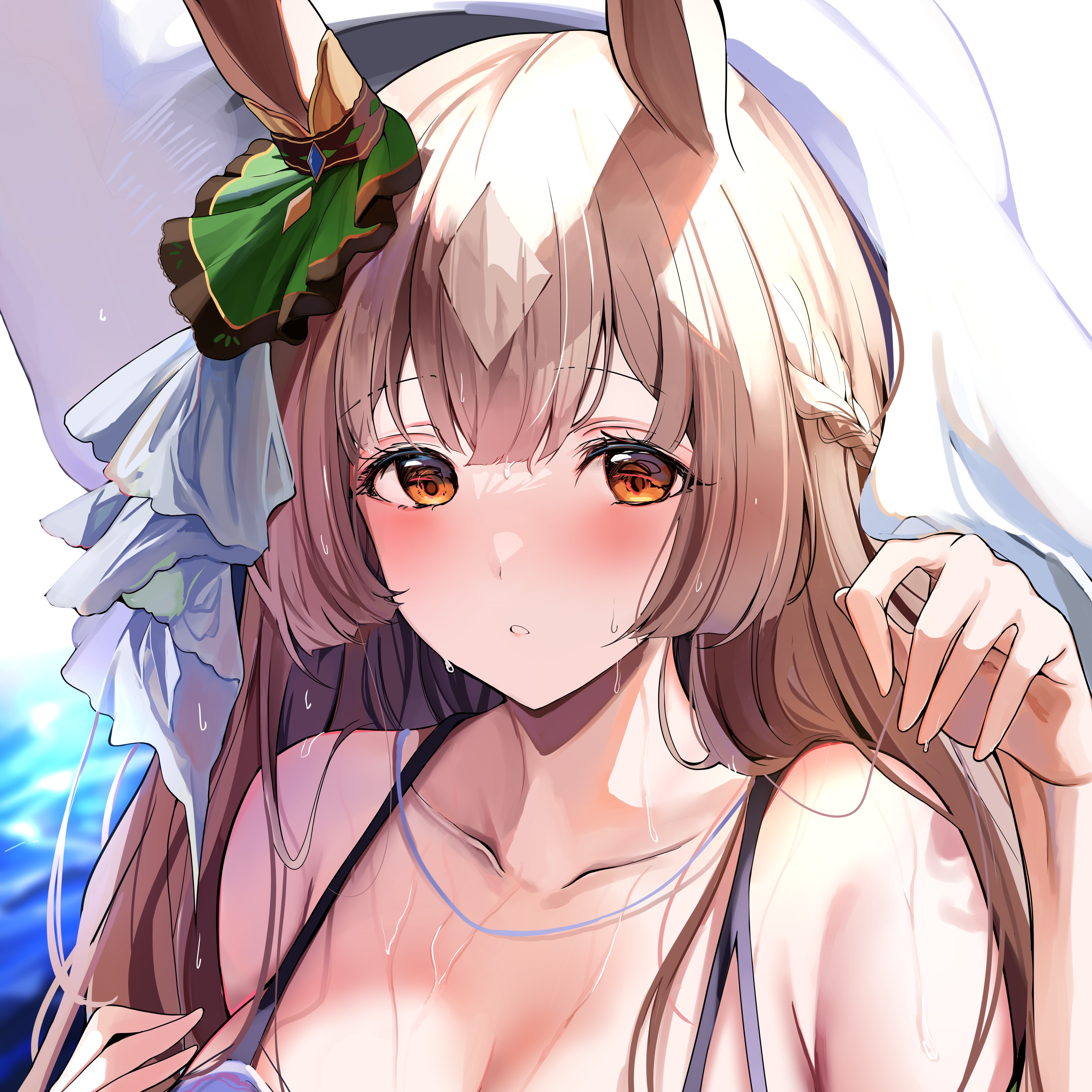 Tokiwa99