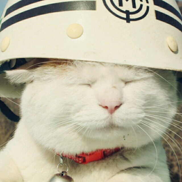 迩D希望