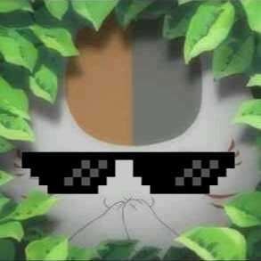 狸旻