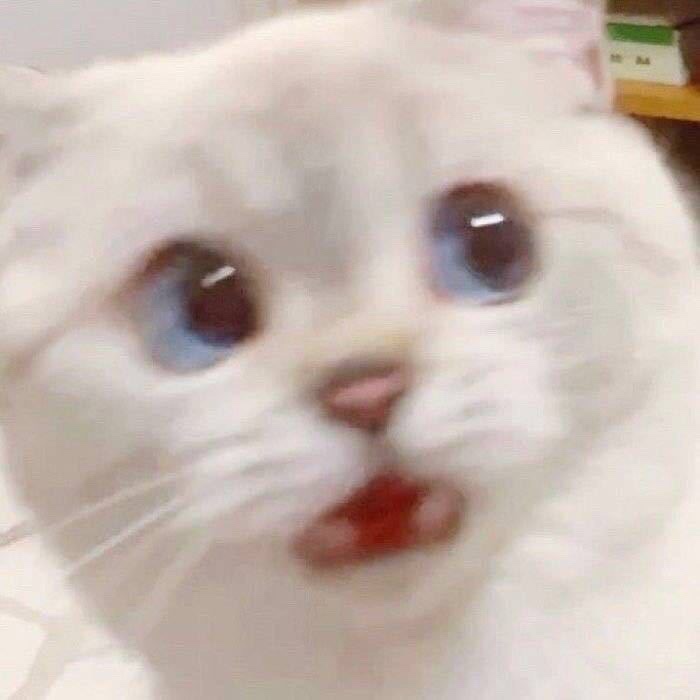 icehe