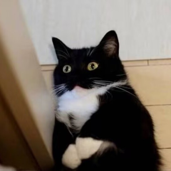 北白川黒子