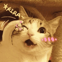 muramasas