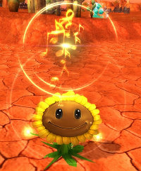 Sunfolwer