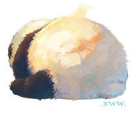 公子夙