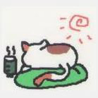 猫与好天气