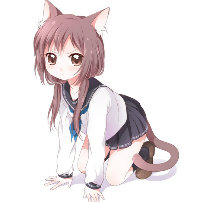 八佰萬喵喵