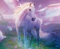天马飞天马