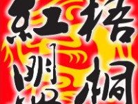 人在梧桐下