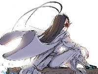 137056680