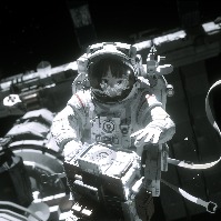 星星子