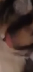 tggh