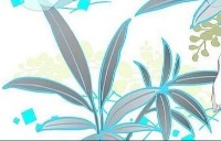 NITZSC